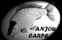 Anjou Carpe